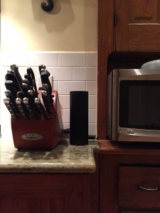 Alexa hanging out in our kitchen