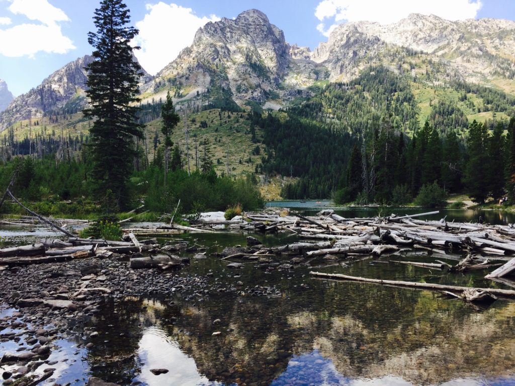 Grand Tetons