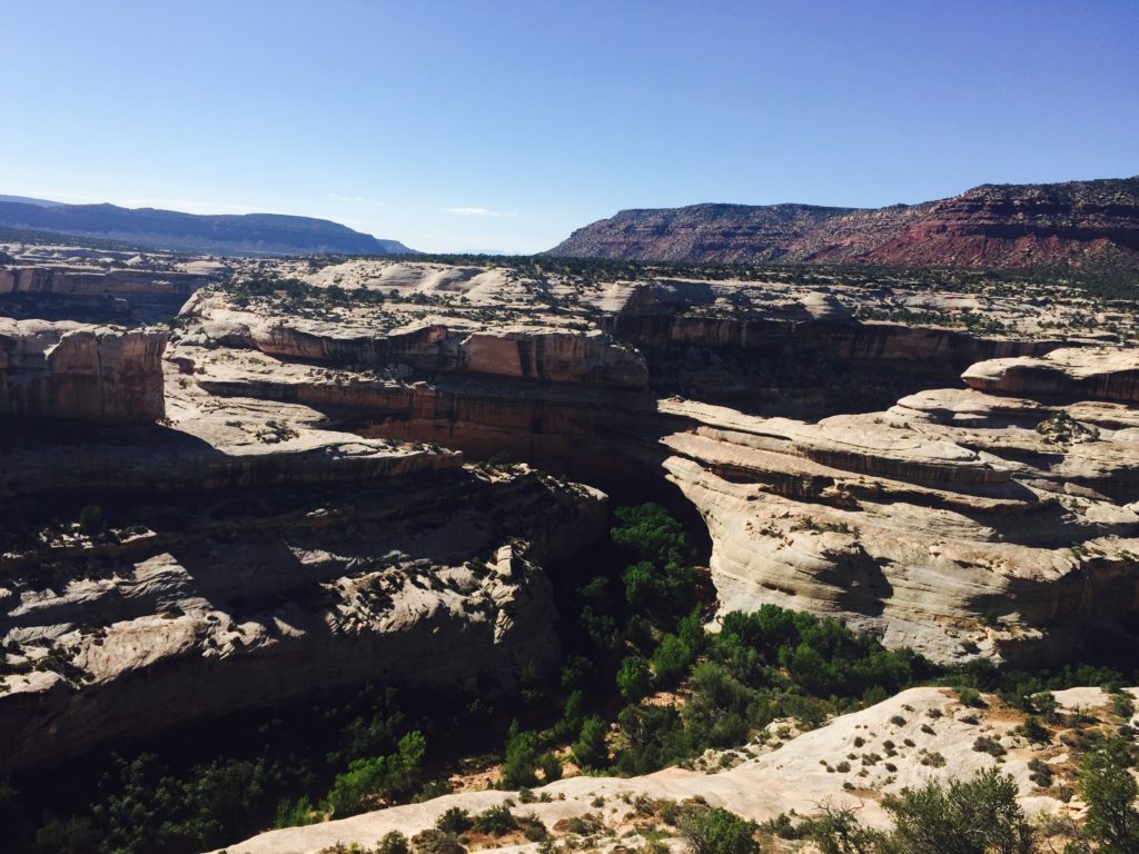 Natural Bridges National Monument