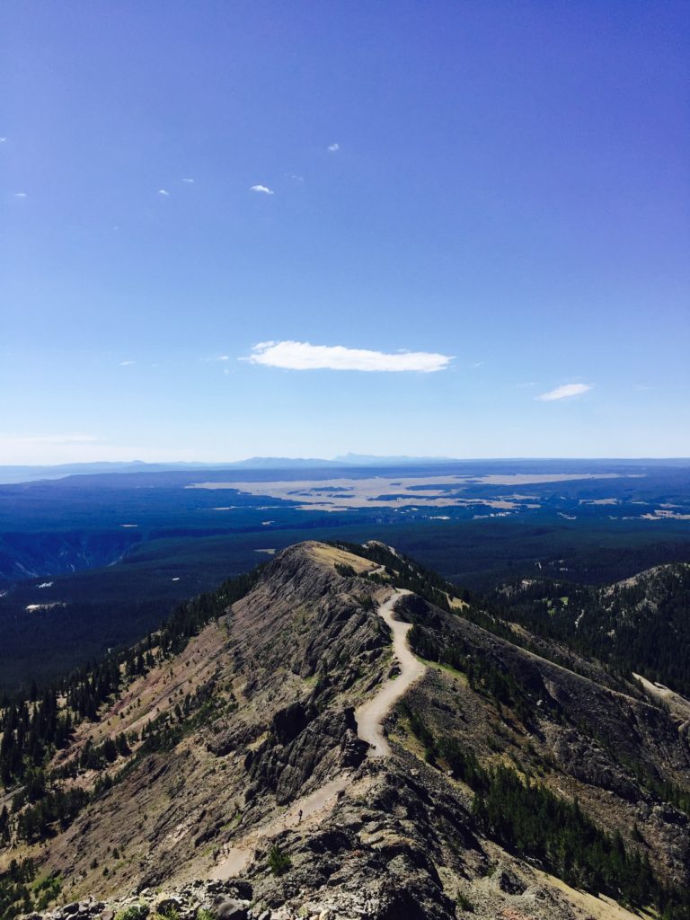 Mount Washburn in Yellowstone