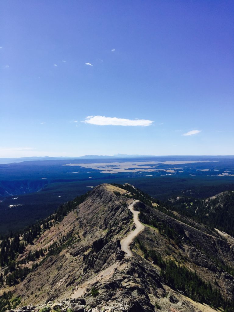 Mount Washburn in Yellowstone 