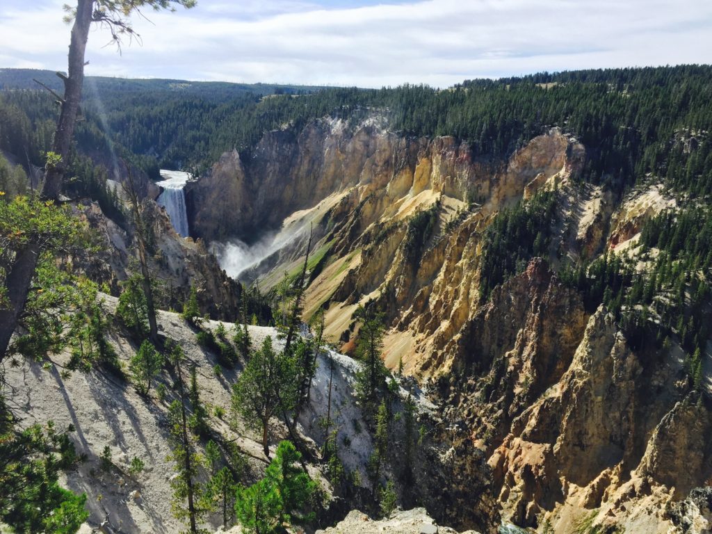 Grand Canyon of Yellowstone